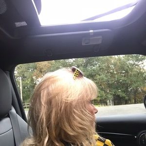 Meet your Posher, Sue